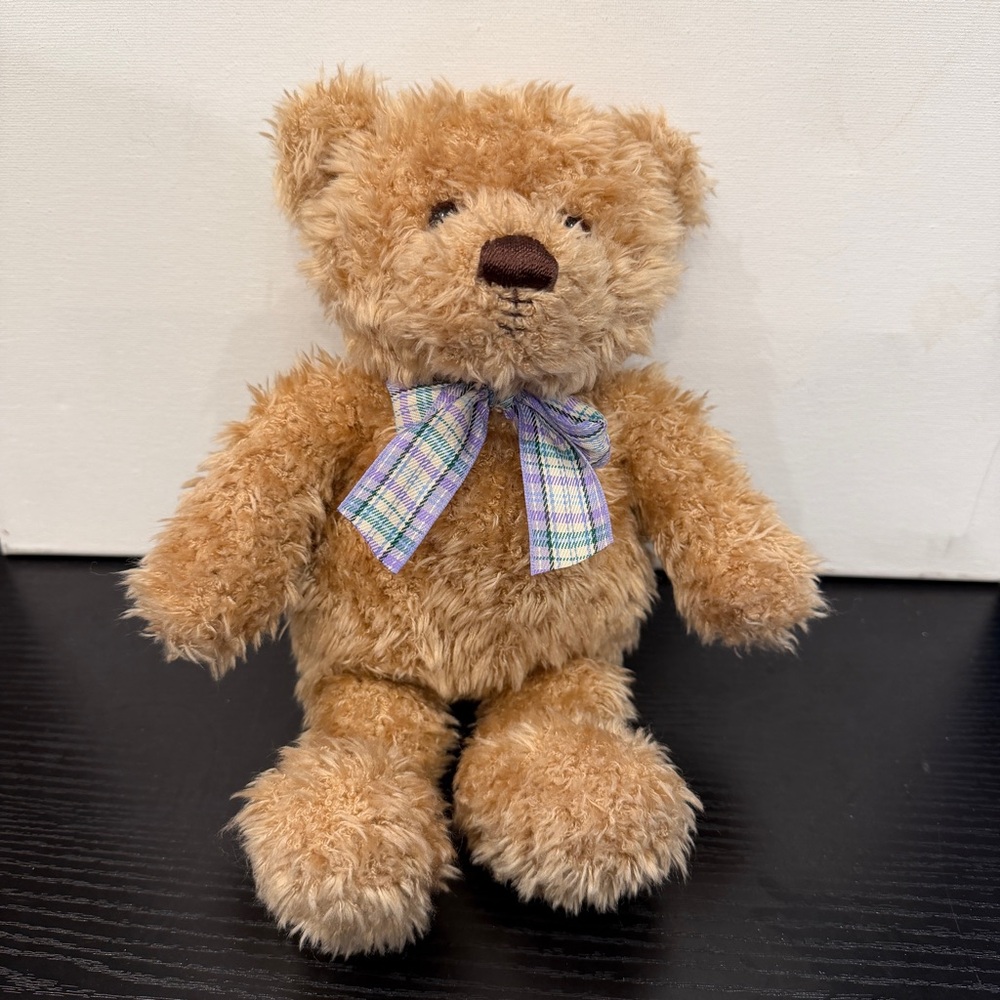 RARE Gund Cleftline Bear - A Teddy with a Cleft Lip Repair